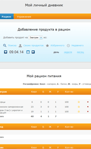 Дневник за один день